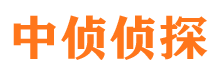 察雅侦探调查公司